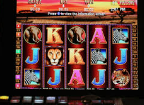 赏金国际vip登录入口电脑免费版